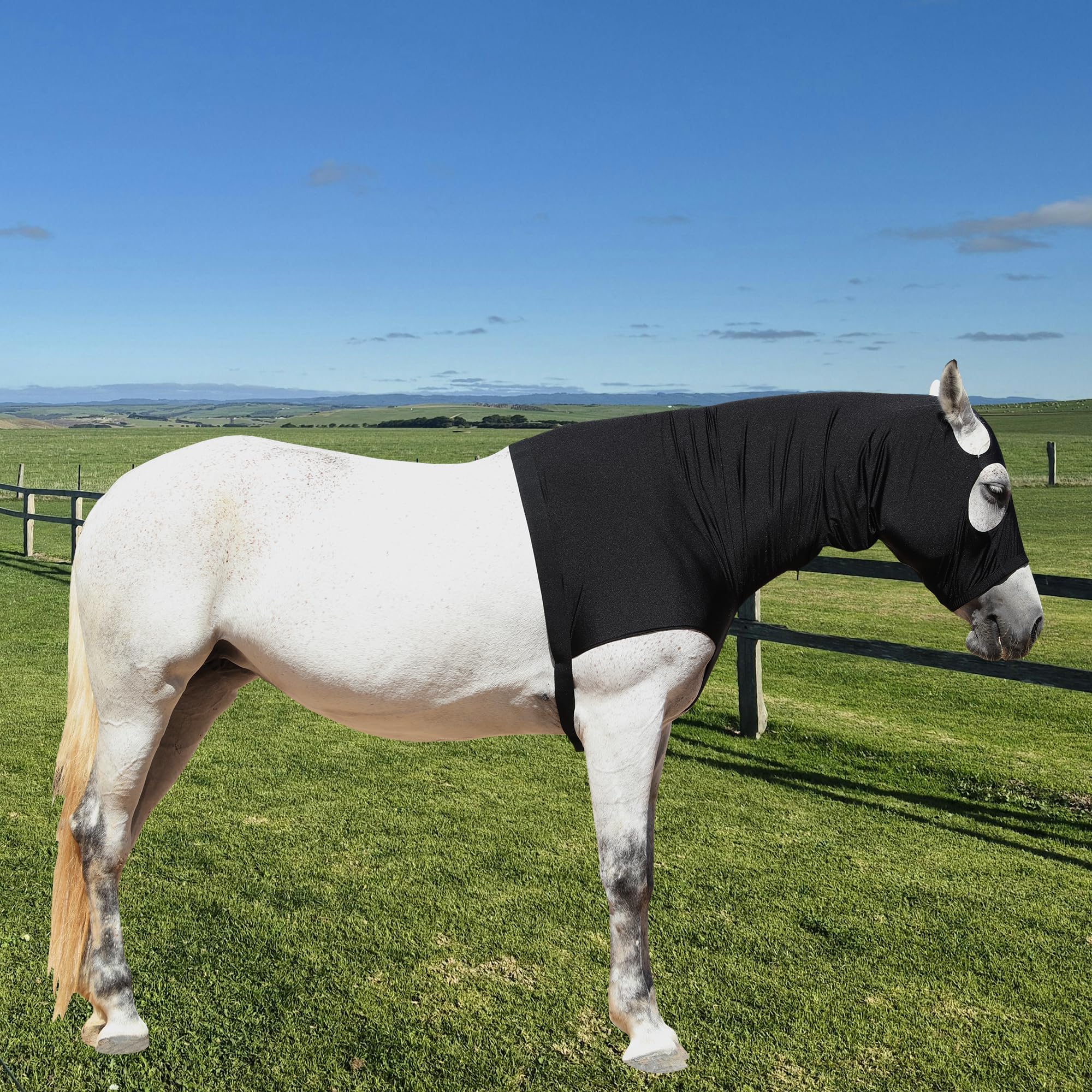 Leberna Capucha Lycra con Cremallera para Caballo XL Negro