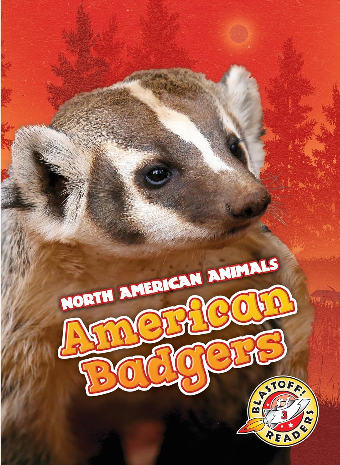 American Badgers (North American Animals)