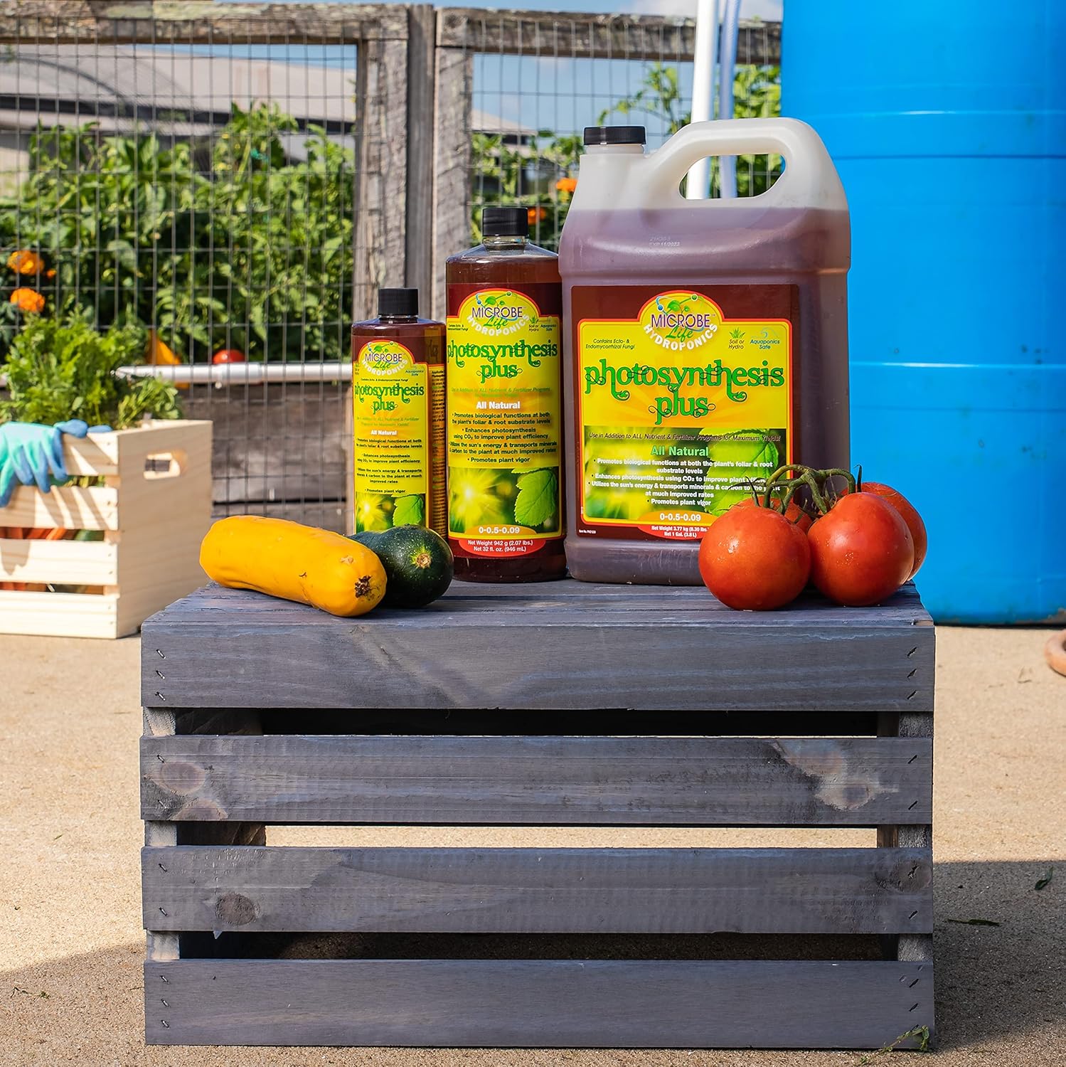 Microbe Life Hydroponics Premium Photosynthesis Plus-O to Grow Fruits, Vegetables, and Herbs, Use with Any Feeding Systems Including Hydroponics or Soil, for Sale in Oregon, 32 Ounces
