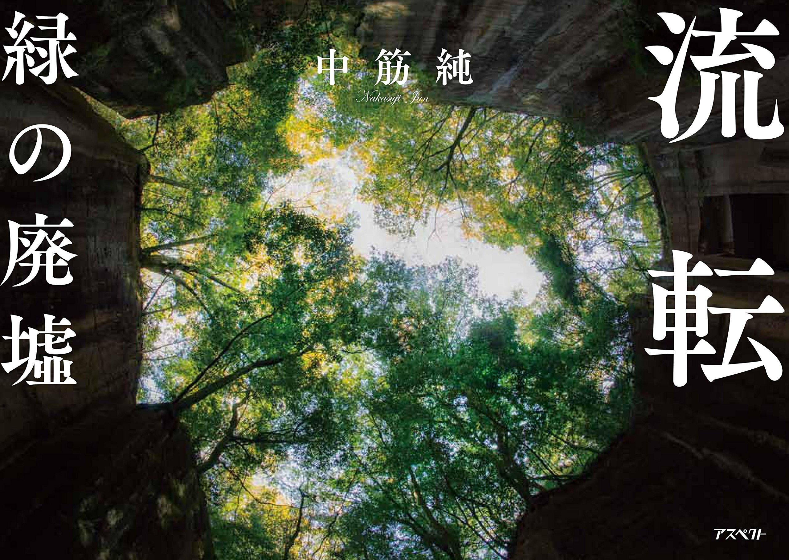 流転 緑の廃墟 中筋 純 本 通販 Amazon 流転 緑の廃墟 中筋 純 本 通販 Amazon