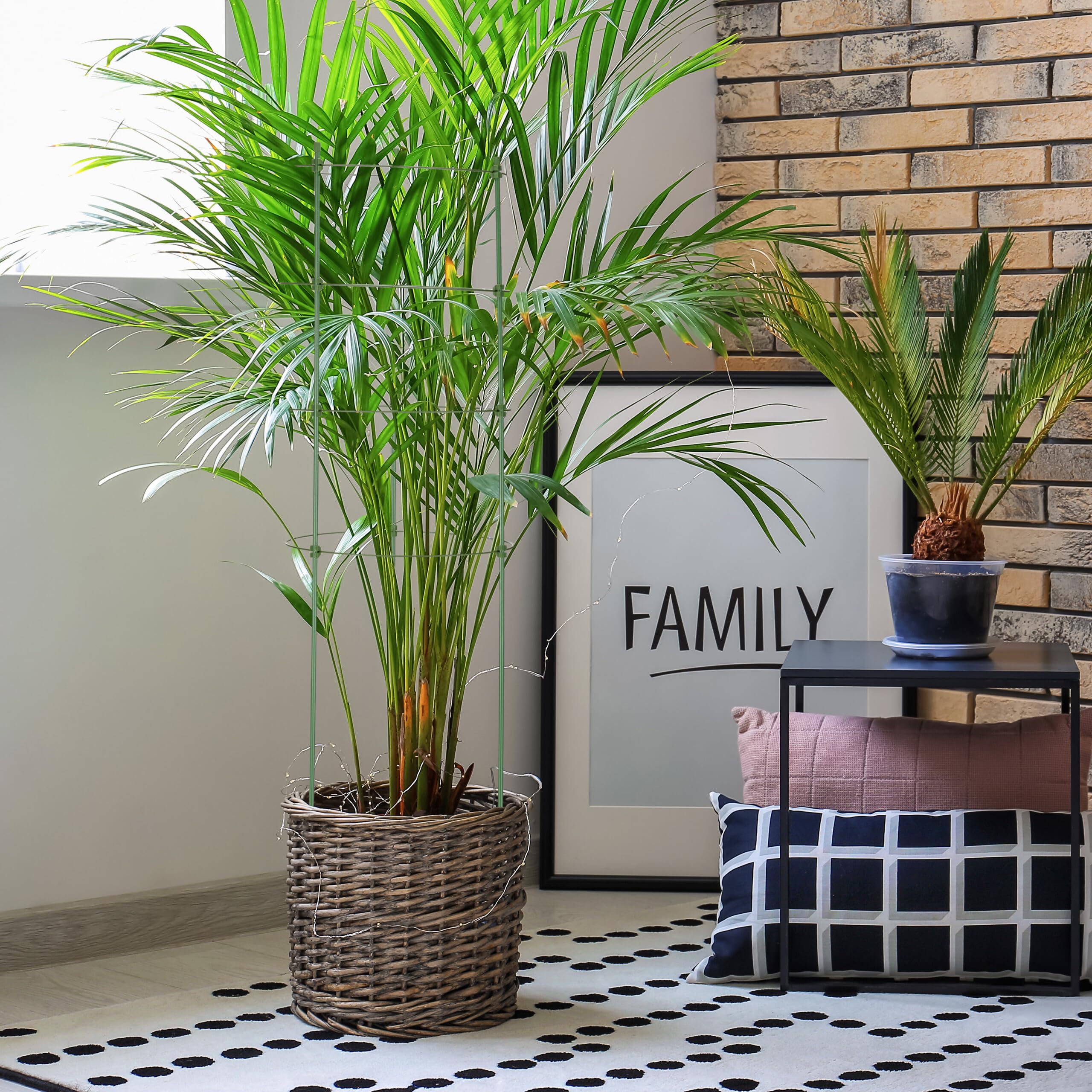 Relaxdays Pack 10 Tutores Plantas, 90 cm Alto, Soporte Enredaderas 4 Anillos, Guía Trepadoras, Metal y Plástico, Verde