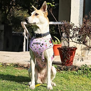 Mutt of Course Gin & Tonic Print Dog Harness (Small)