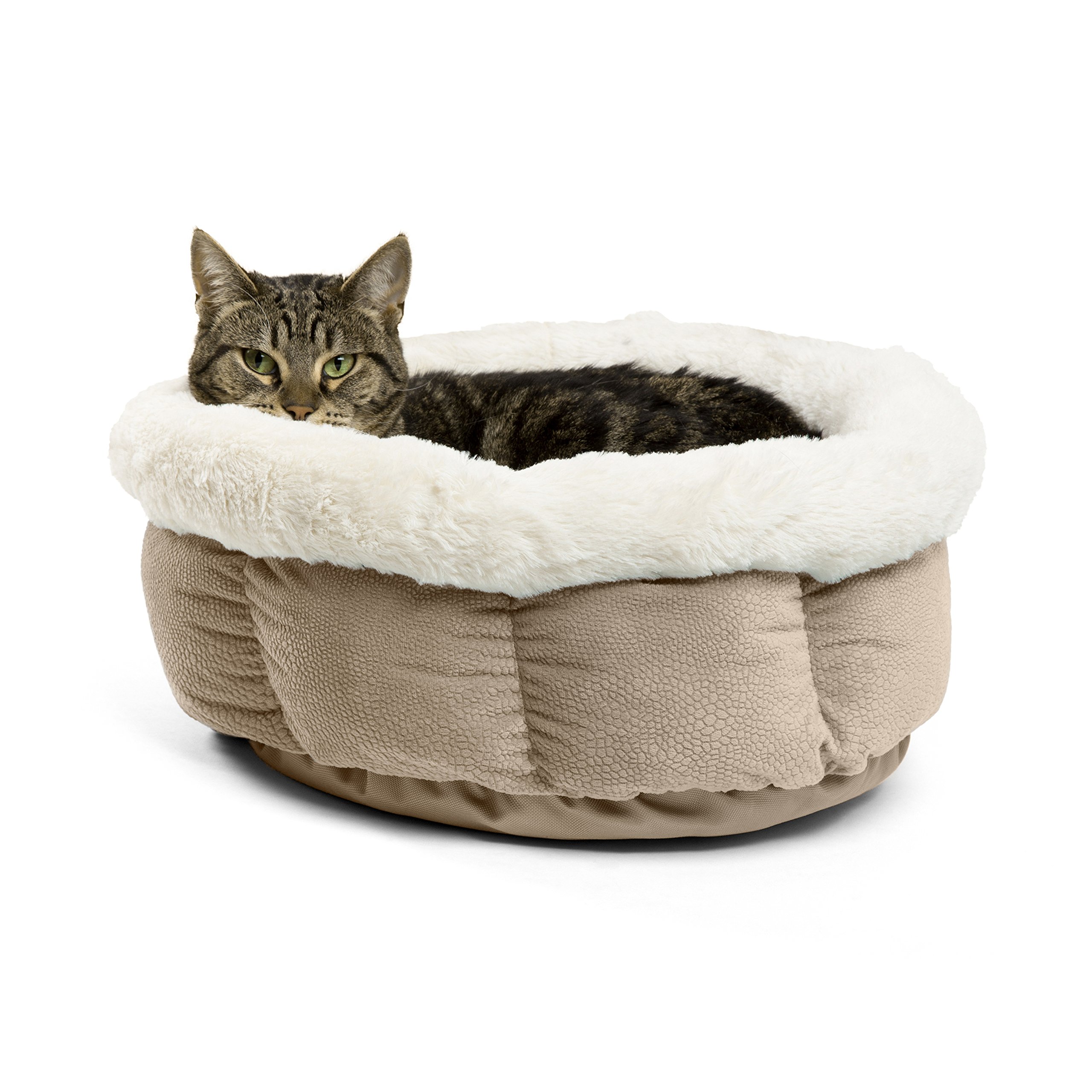 Best Friends by SheriCuddle Cup Ilan Cozy Microfiber Cat and Dog Bed in Wheat