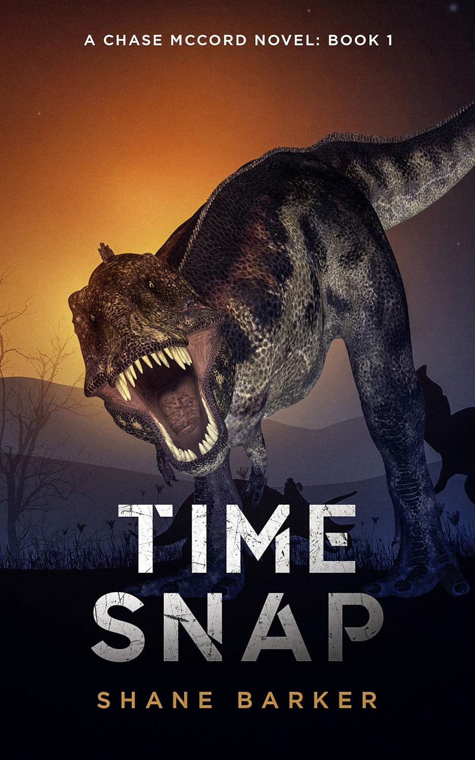 Time Snap (A Chase McCord Novel, Book 1) (Chase McCord