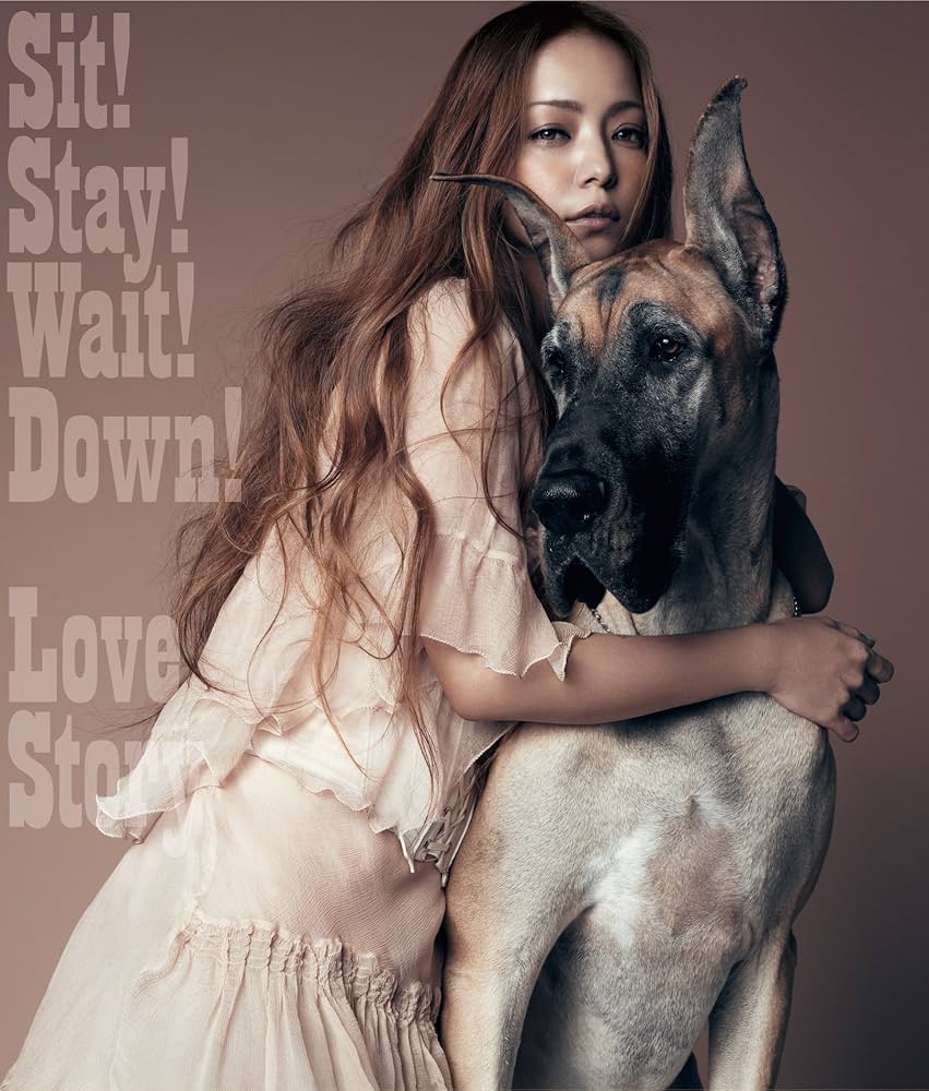 Amazon.co.jp: Sit! Stay! Wait! Down!/Love Story - 安室奈美恵