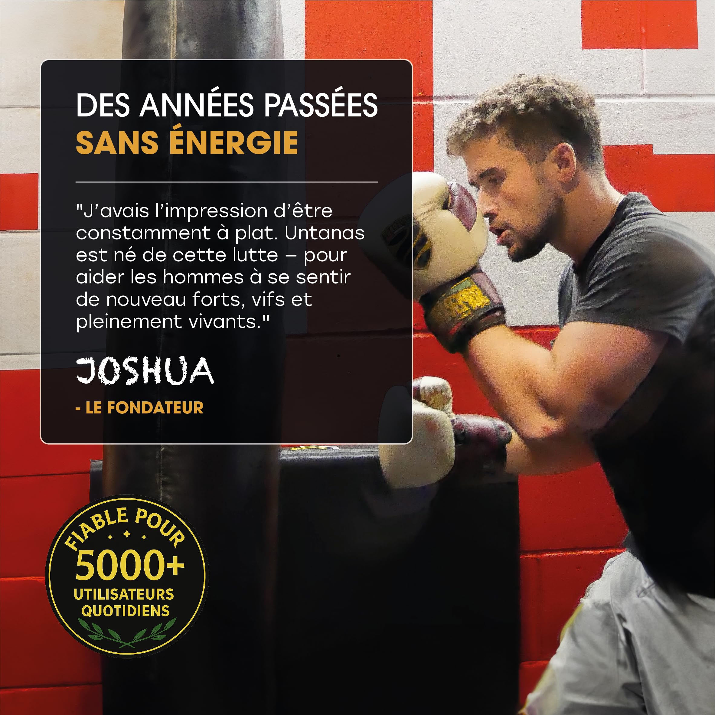 Shilajit Pur de Qualité Or – Résine Authentique de l'Altaï – 50g – Réserve de 6 Mois – Extraction Traditionnelle – Acide Fulvique + Composés Humiques
