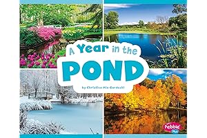 A Year in the Pond: Witness Nature's Rhythms Unfold Over Four Seasons