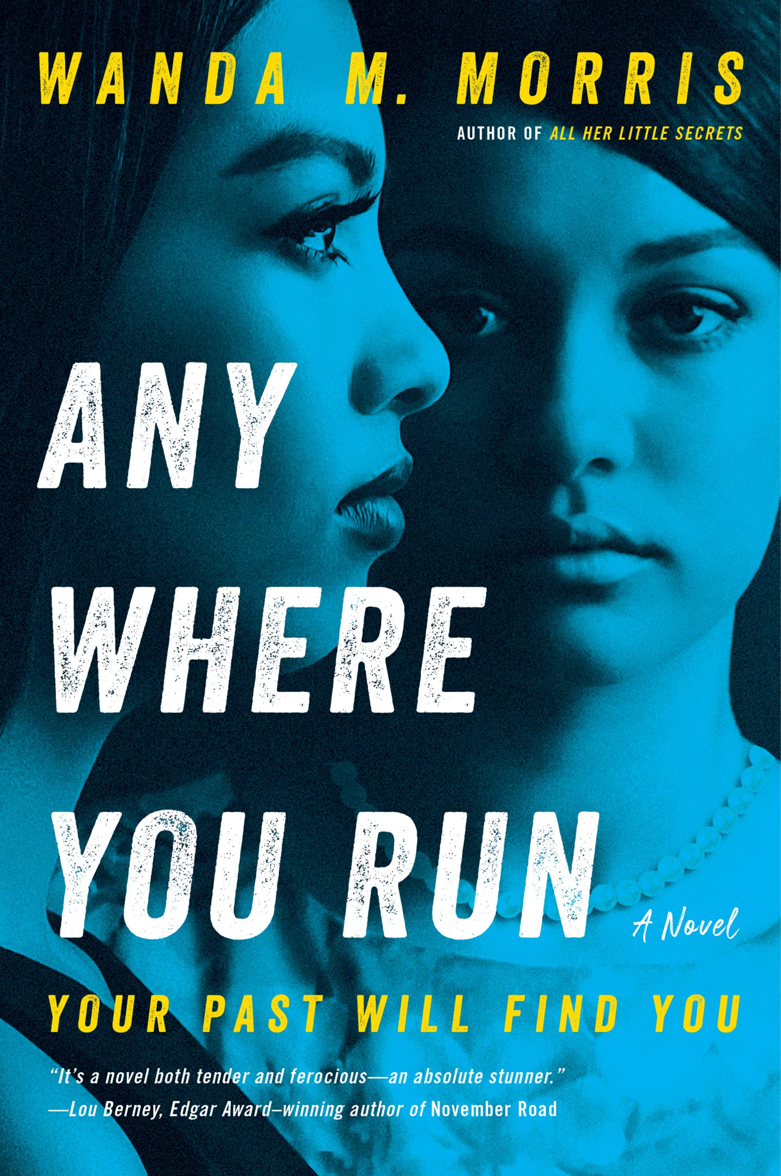 Buy Anywhere You Run: A Novel — BookShops.in