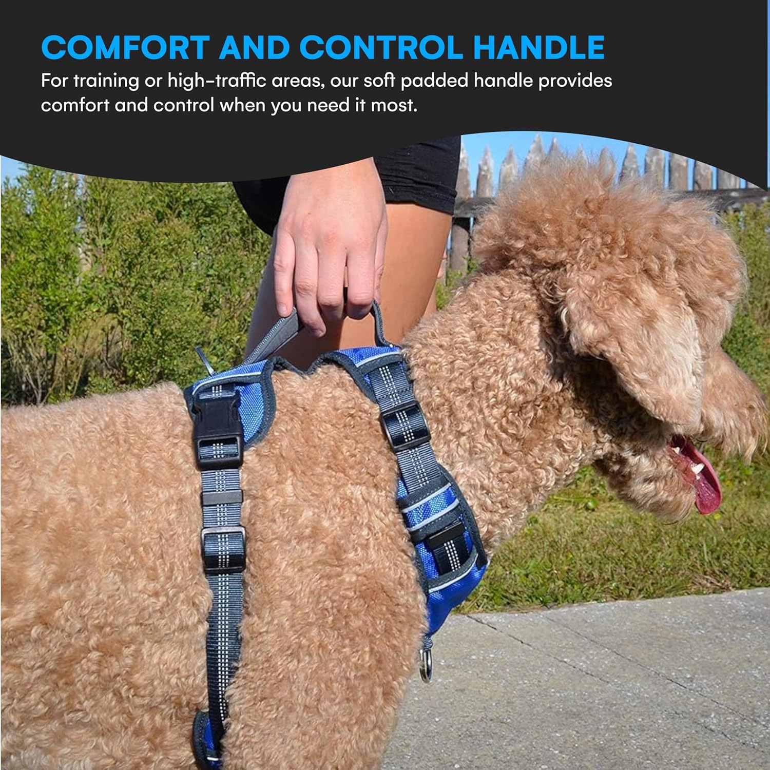 Black Rhino The Comfort Dog Harness with Mesh Zambia Ubuy