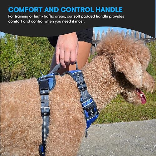 Miniatura 4 de Black Rhino - The Comfort Arnés para perro con chaleco acolchado de malla para razas pequeñas y grandes  Ajustable  Reflectante  2 accesorios de