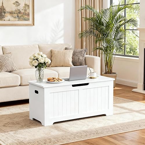 Vista 39 de ZENY Baúl de almacenamiento, baúl de almacenamiento elevable, banco de zapatos de entrada, banco de almacenamiento de madera, contenedor organizador