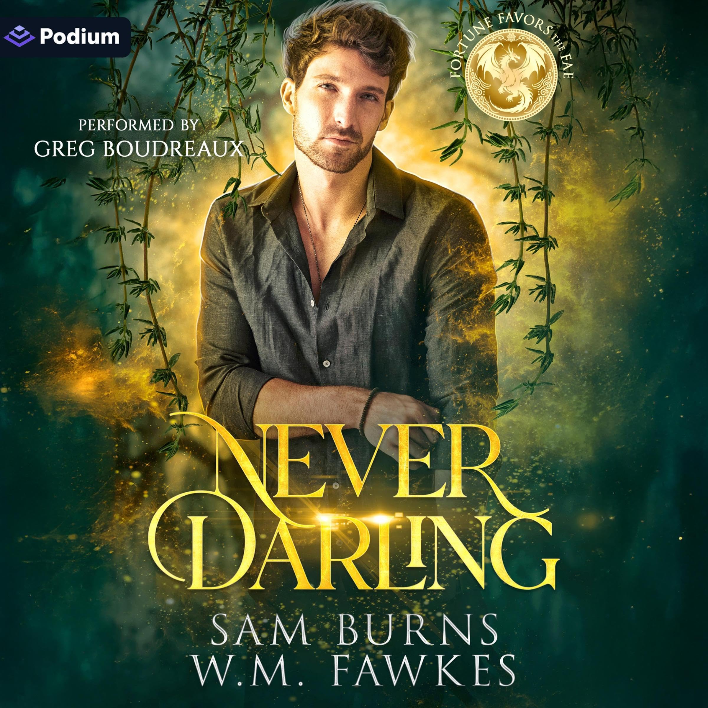 Cover art for Never Darling