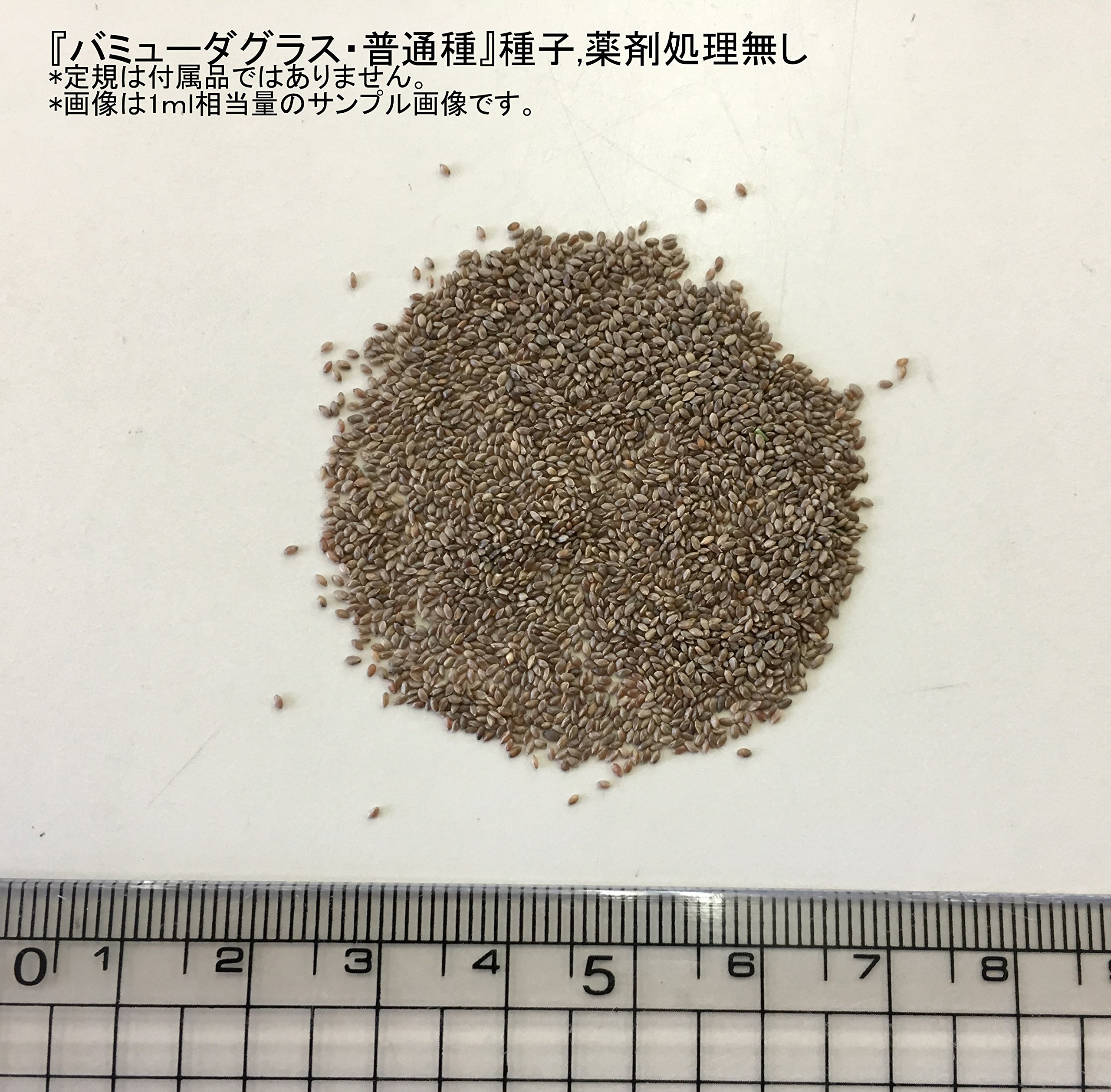 【新品】福花園種苗 西洋芝種子 バミューダグラス 種子1L詰 皮取種(普通種) Amazon | 福花園種苗 西洋芝種子 バミューダグラス 種子1L詰 皮取種