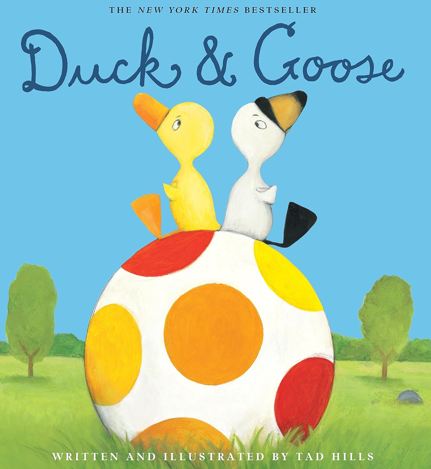 Duck &amp; Goose: Hills, Tad, Hills, Tad: 9780375836114: Books - Amazon.ca