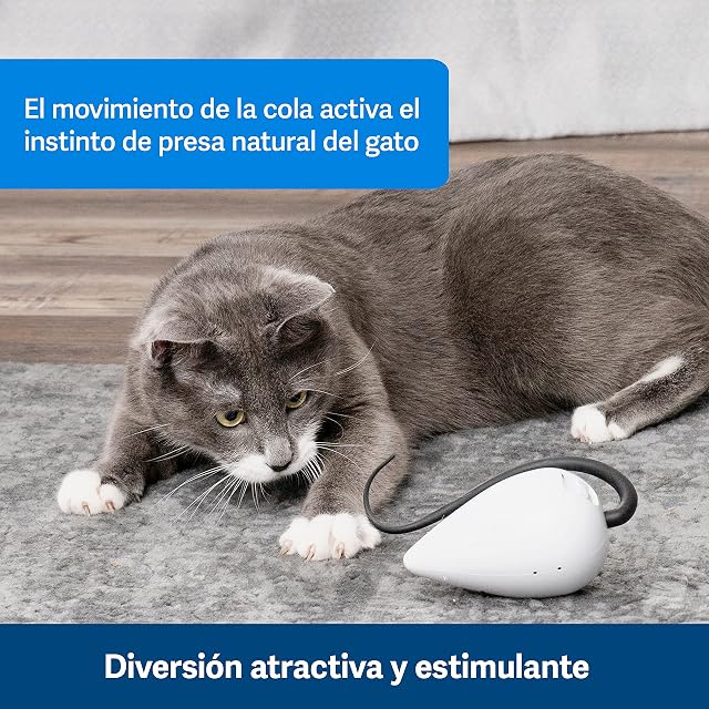 Foto 5 de 8 de PetSafe Rolorat - Juguete Interactivo para Gatos, Artefacto Automático para felinos, Ratón de Juguete…