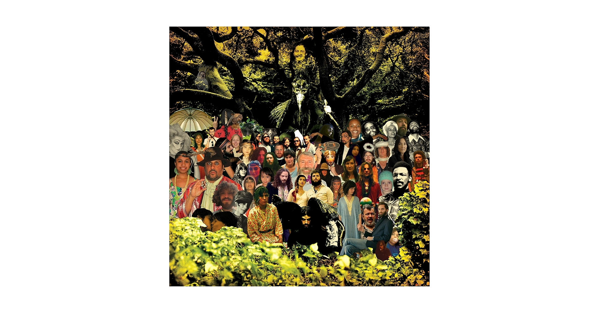 【LP】DEVENDRA BANHART cripple crow MALA Banhart, Devendra, Devendra Banhart - Cripple Crow - Amazon