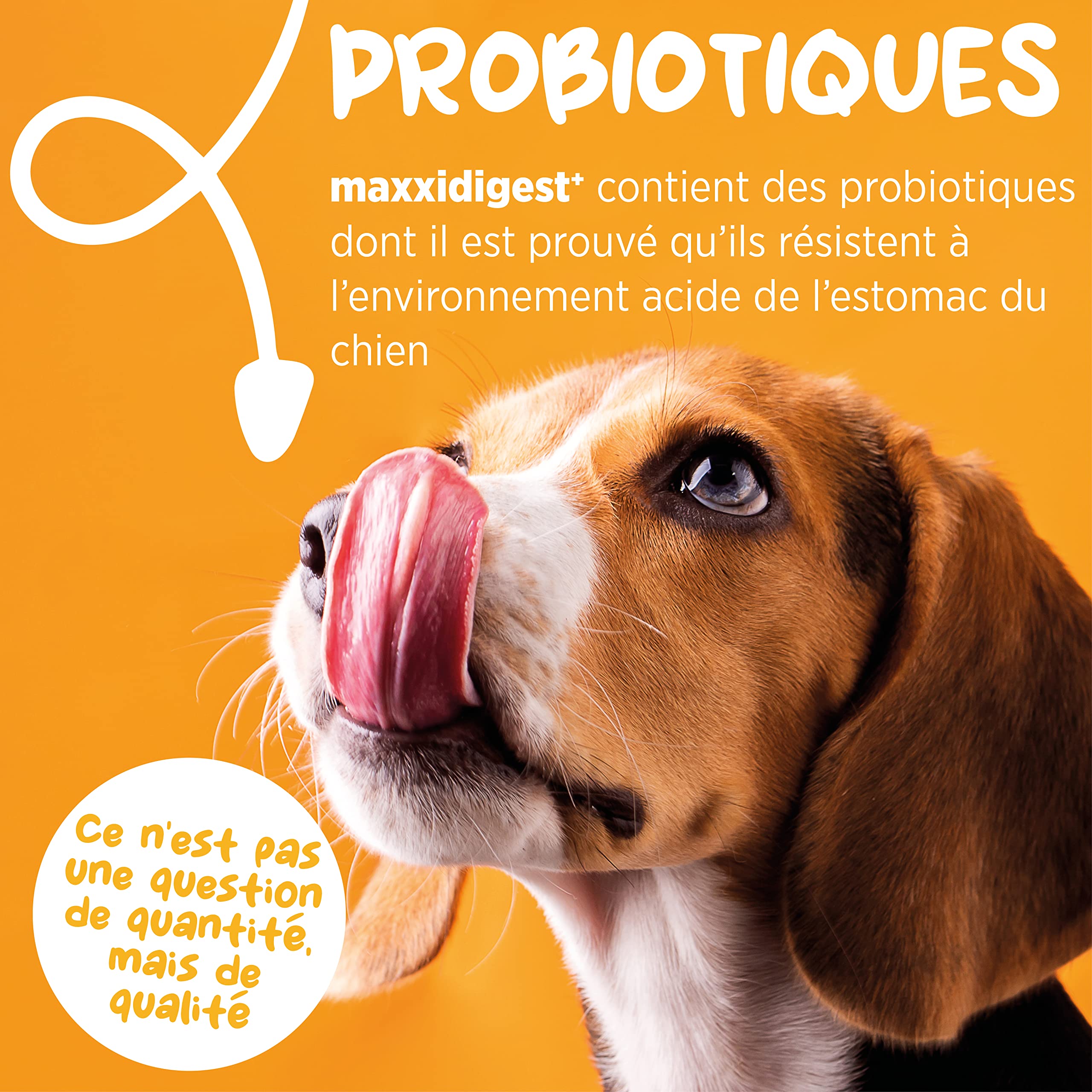 maxxipaws - maxxidigest+ Probiotiques, prébiotiques et enzymes digestives pour chiens - Complément avancé pour le système digestif et le système immunitaire des chiens - Poudre sans OGM - Poudre 375 g