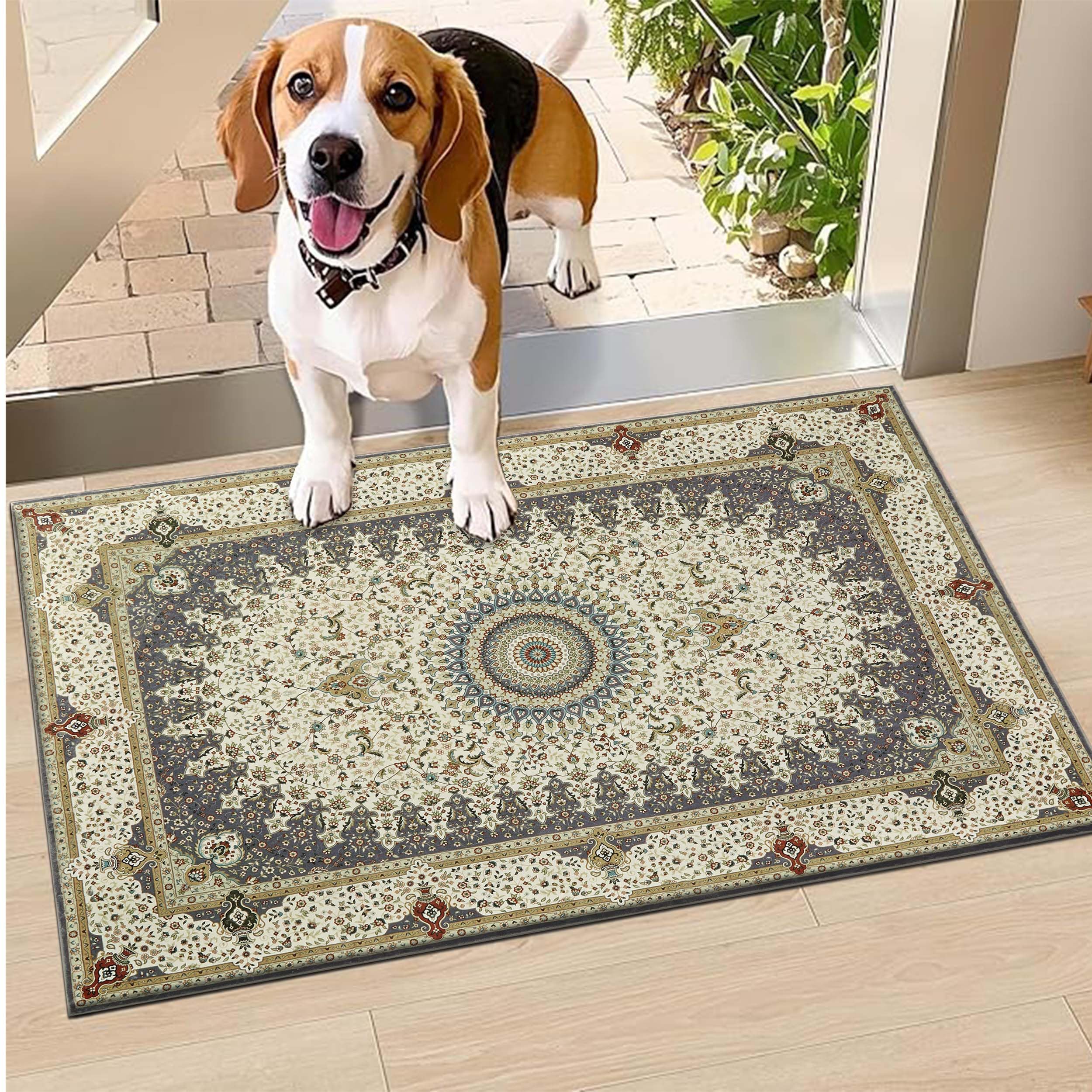 Hafaa Door mat 60x110 cm - Indoor & Outdoor Doormats Machine Washable Non Slip - Super Soft Heavy Duty Kitchen Floor Mat Dirt Trapper Entrance Mat, Willow Grey — image 1