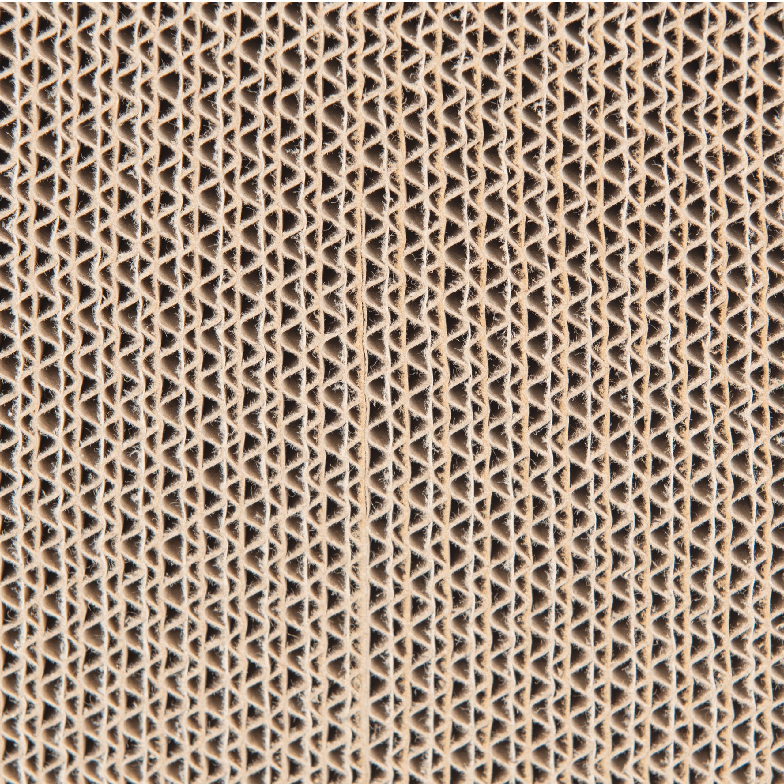 COIL Tonneau à chat, niche pour chat, arbre à chat, lit pour chat, lit pour chat, lit respectueux de l'environnement, carton à griffer, MDF (hauteur : 40 cm)