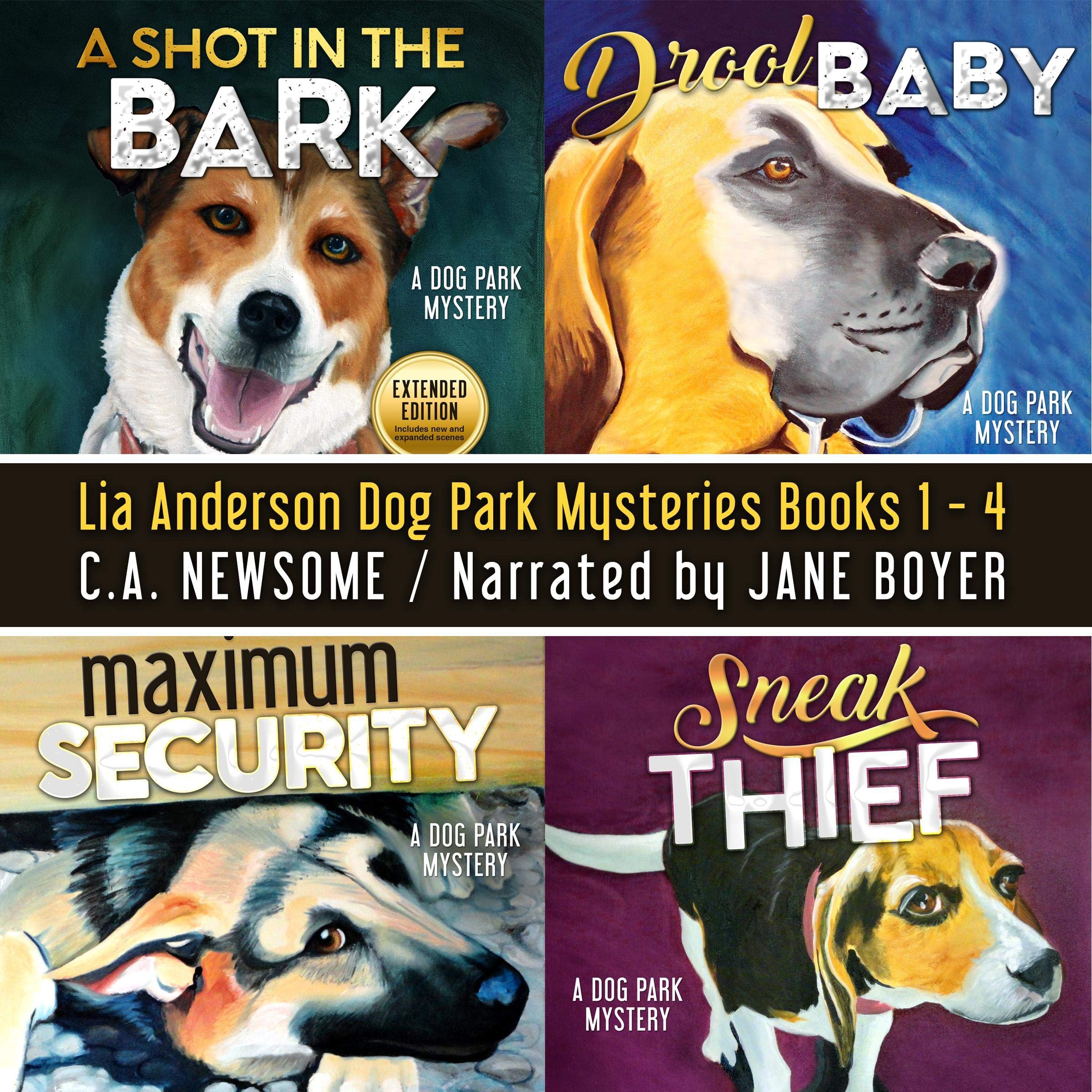 Lia Anderson Dog Park Mysteries: Books 1-4