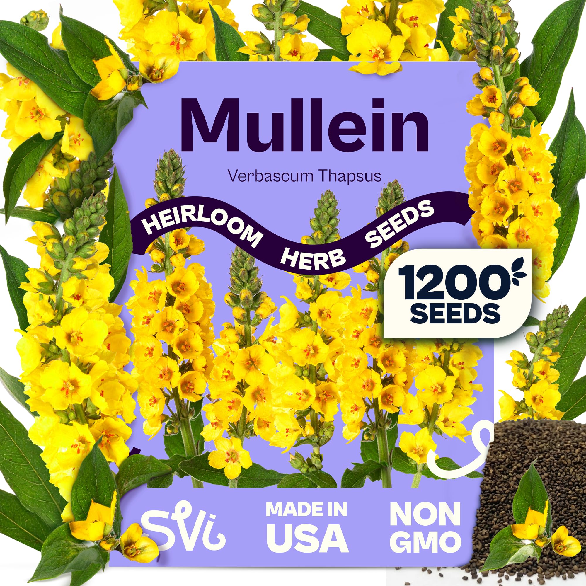 SVI 1200 Mullein Seeds for Planting (Verbascum thapsus) - Great Mullein, Heirloom Non GMO Herbs, 4-6 ft Spikes - Medicinal Herb Seeds for Flower and Herb Garden