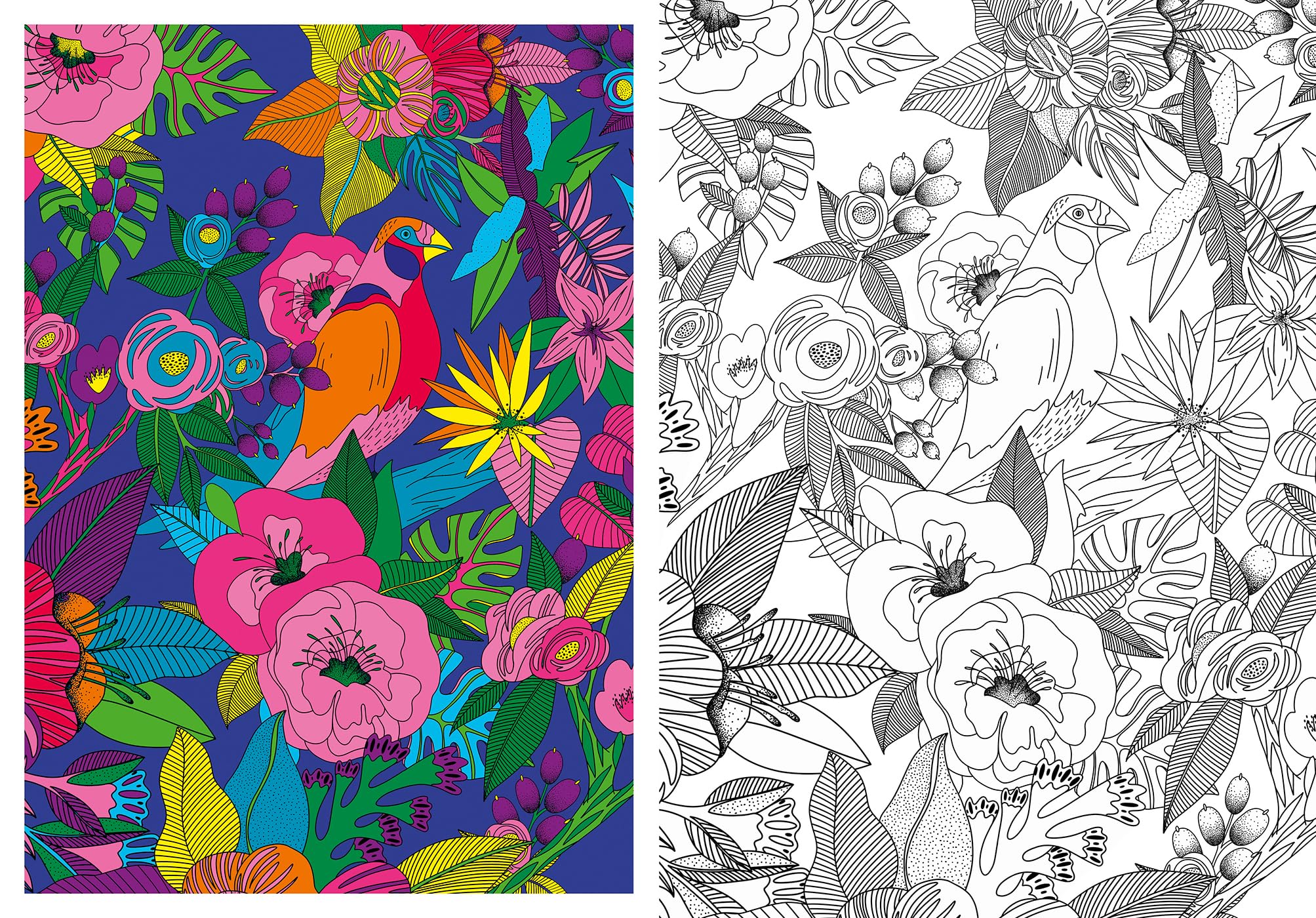 Inspiration - Nature: 60 coloriages et 100 modèles