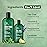 Botanic Hearth Tea Tree Shampoo 8Fl Oz And Conditioner 4 Fl Oz | With 100% Pure Tea Tree Oil, For Itchy And Dry Scalp, Sulfate/Paraben Free | For Men And Women