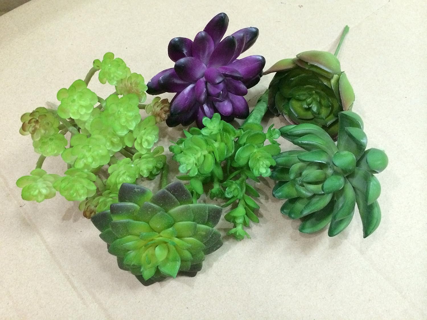 Set of 6 Different Succulents, Artificial Cactus Plants