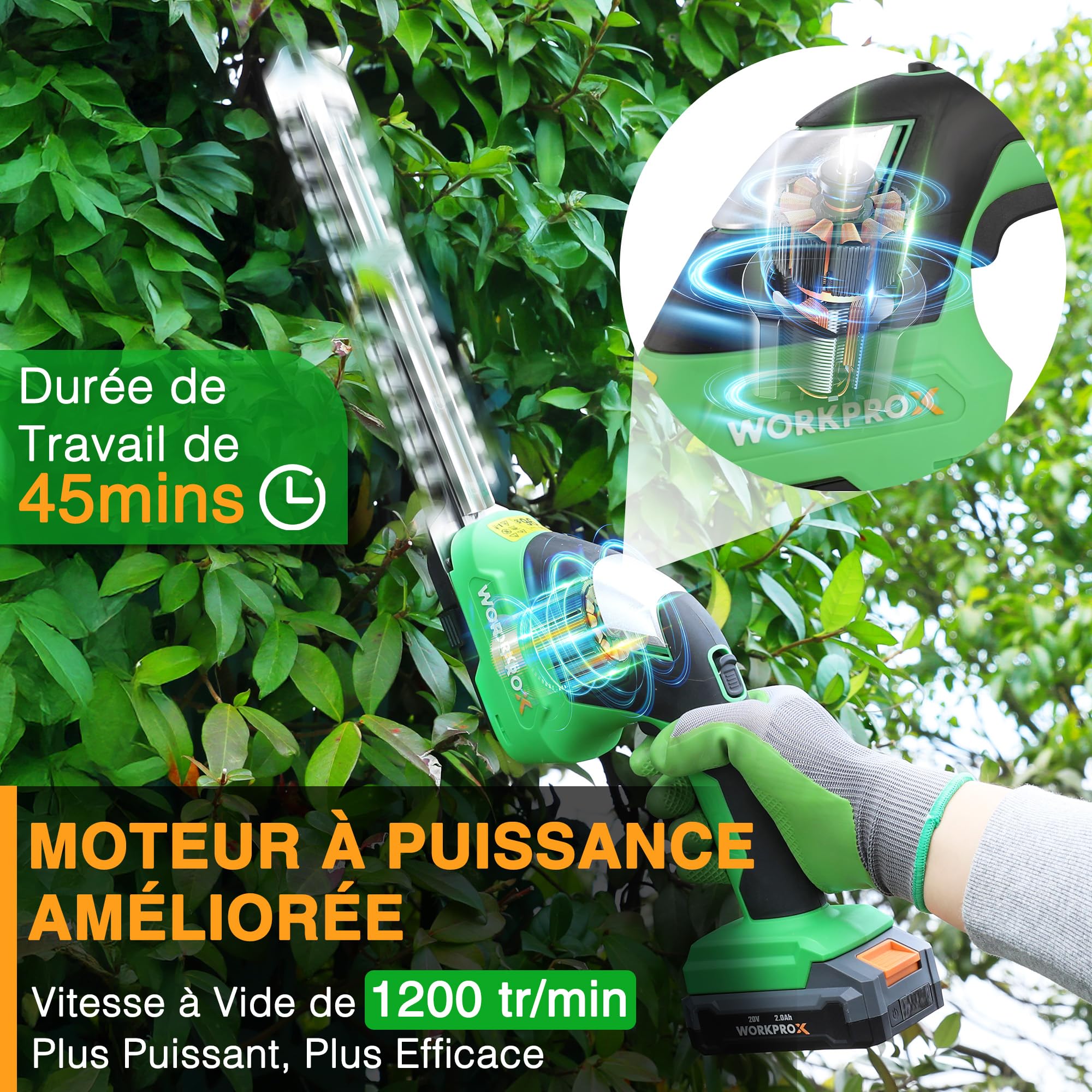 WORKPROX Cisaille Sculpte-Haie sans Fil 20 V avec Batterie 2,0 Ah