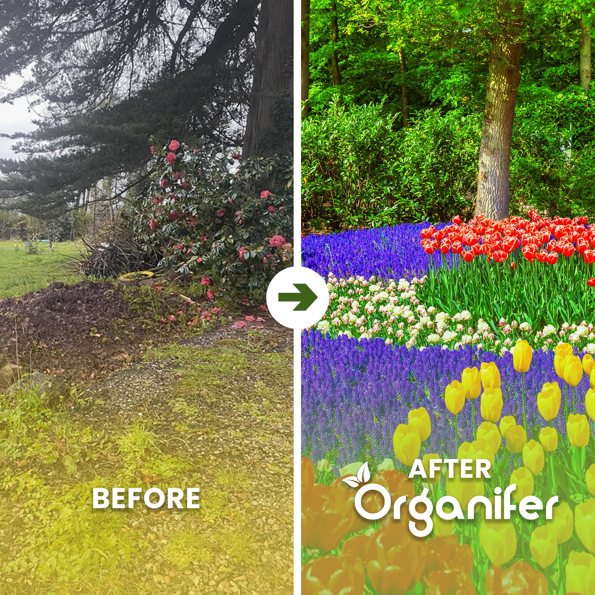 Fertilizante Vegetal Vegano - 5kg = 50m2 | Fertilizante Orgánico De Larga Duración Para Jardín Y Césped - Ecológico Y Nutritivo - Organifer
