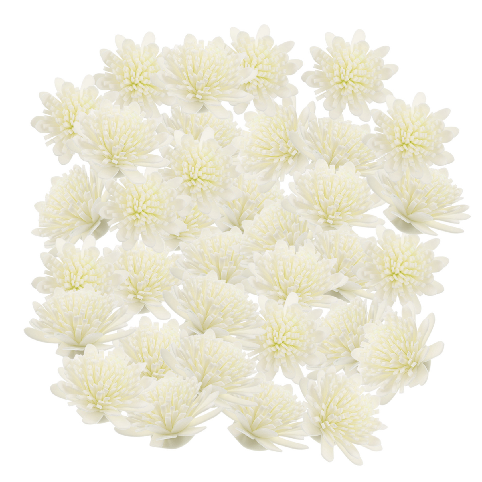 100 piezas flores para difusor aroma natural miniatura 7