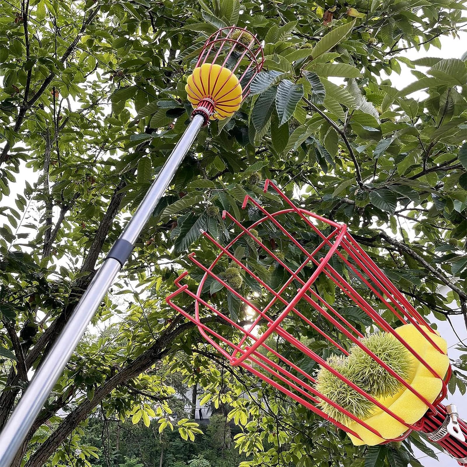 Recolector de frutas telescópico – Recolector de frutas extensible