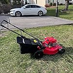 Review Image by caipingli