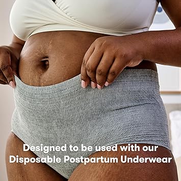 Frida Mom Postpartum Pads, Leak Proof Feminine Care Maxi Pads, 6 Layers of Protection for Maximum Absorbency (18ct)