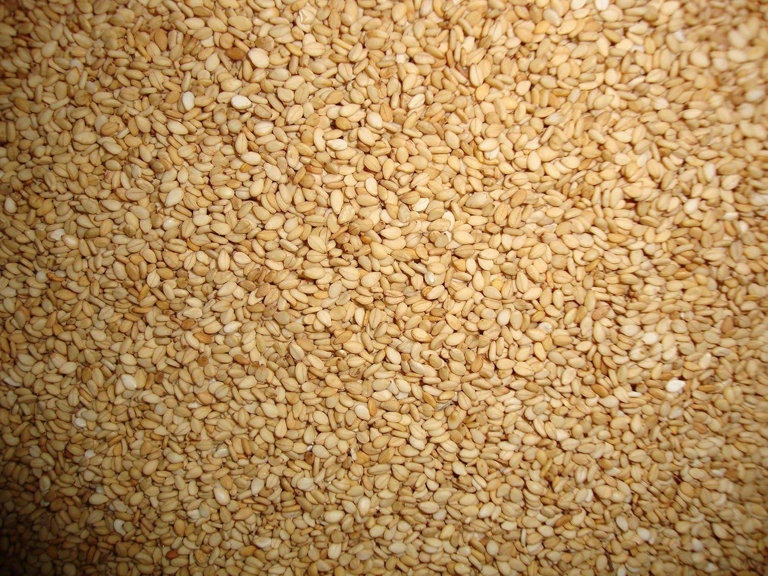 burro di semi di girasole