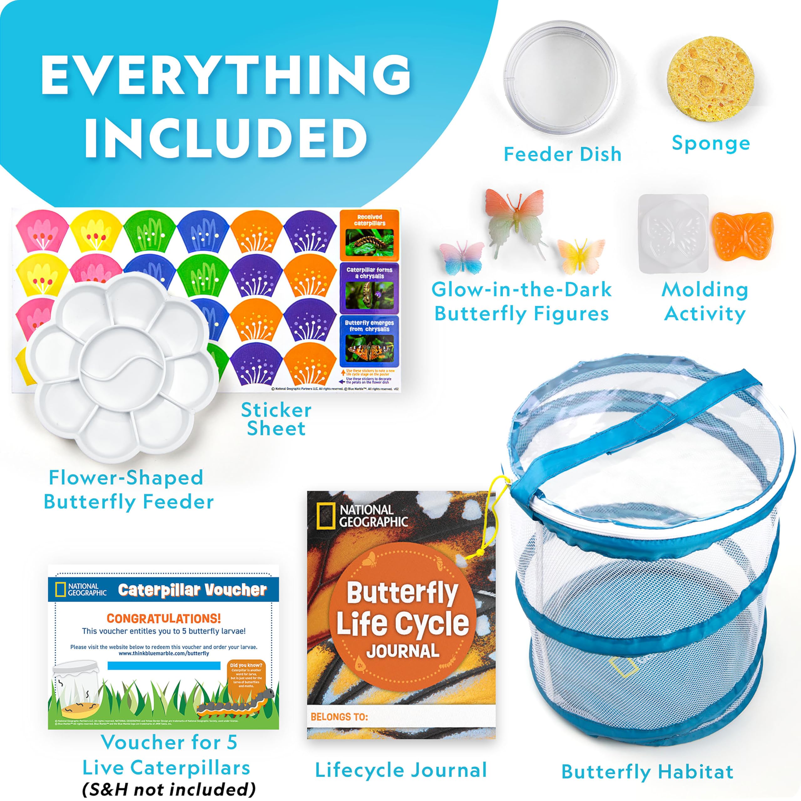 NATIONAL GEOGRAPHIC Kit Allevamento Farfalle Con Habitat In Rete E Buono Per 5 Bruchi – Gioco Scientifico Educativo Con Poster E Guida