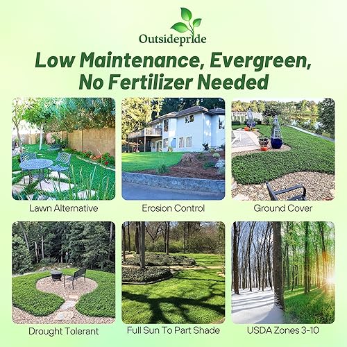 Miniatura 2 de Outsidepride - Semilla de trébol blanco perenne White Miniclover® para césped y cobertura de suelo, 1 lb