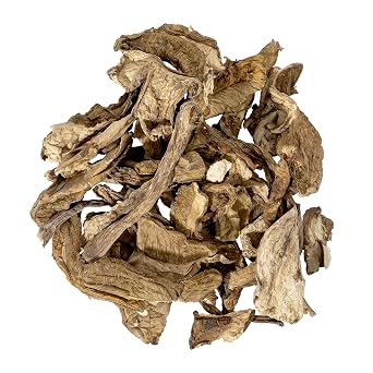 Italian Porcini Grade AB 16 oz by JR Mushrooms