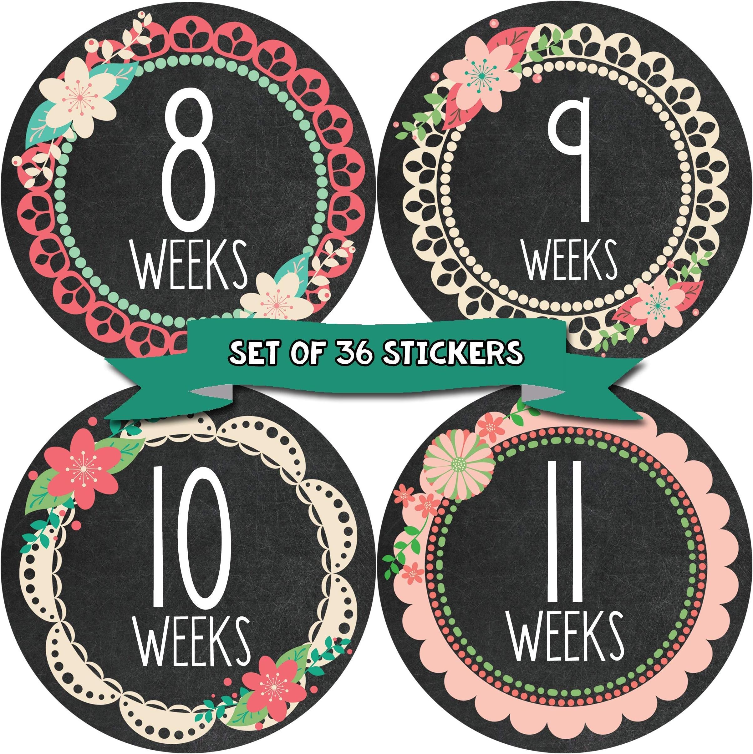 Pregnancy Weekly Belly Growth Stickers - Week to Week Pregnant Expecting Photo Prop - Maternity Keepsake - Baby Bump - Large Set of 36 Weekly Photo Sticker