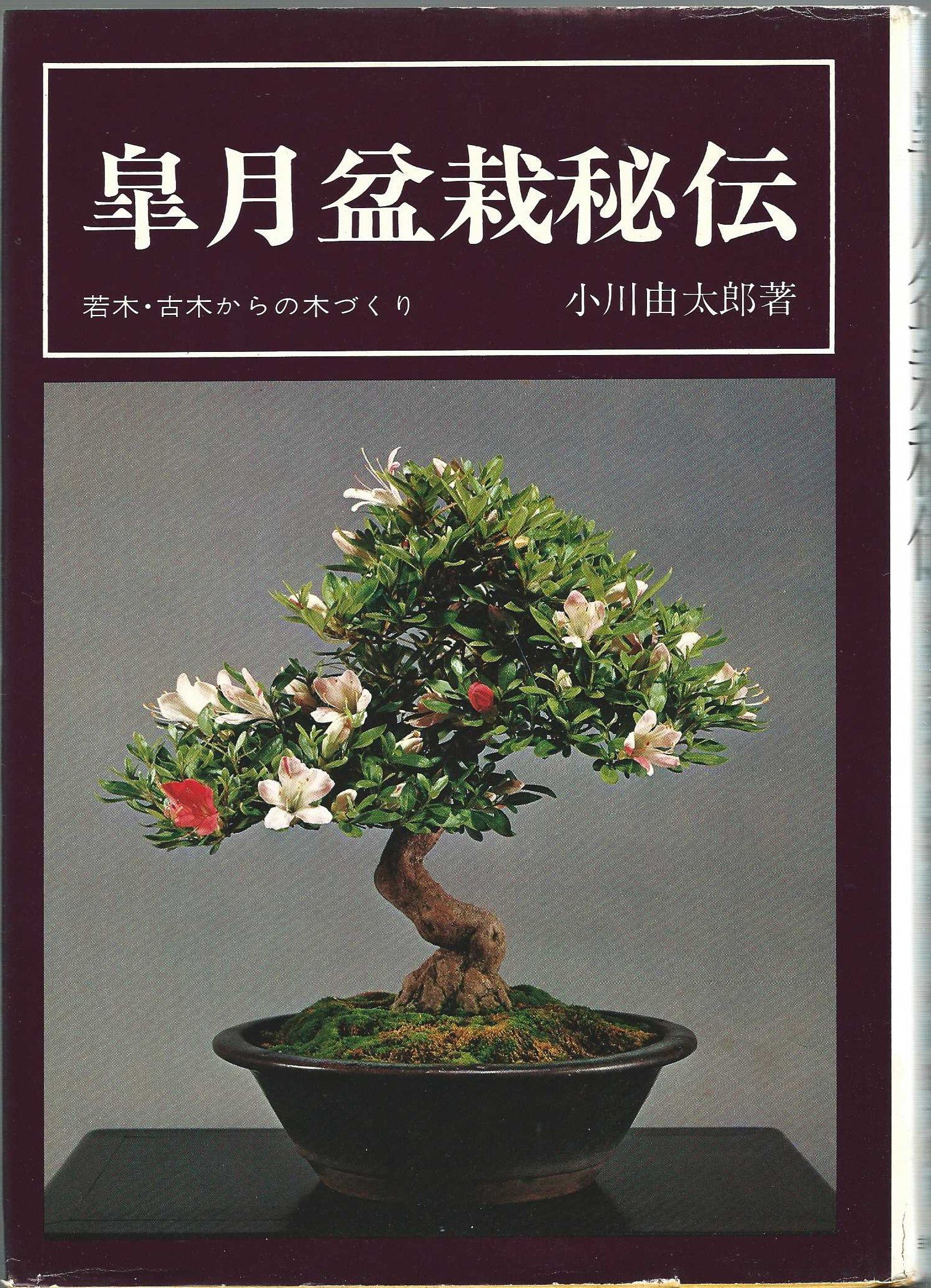 【中古】皐月盆栽秘伝?若木・古木からの木づくり (1975年) Amazon.co.jp: 皐月盆栽秘伝―若木・古木からの木づくり (1975年