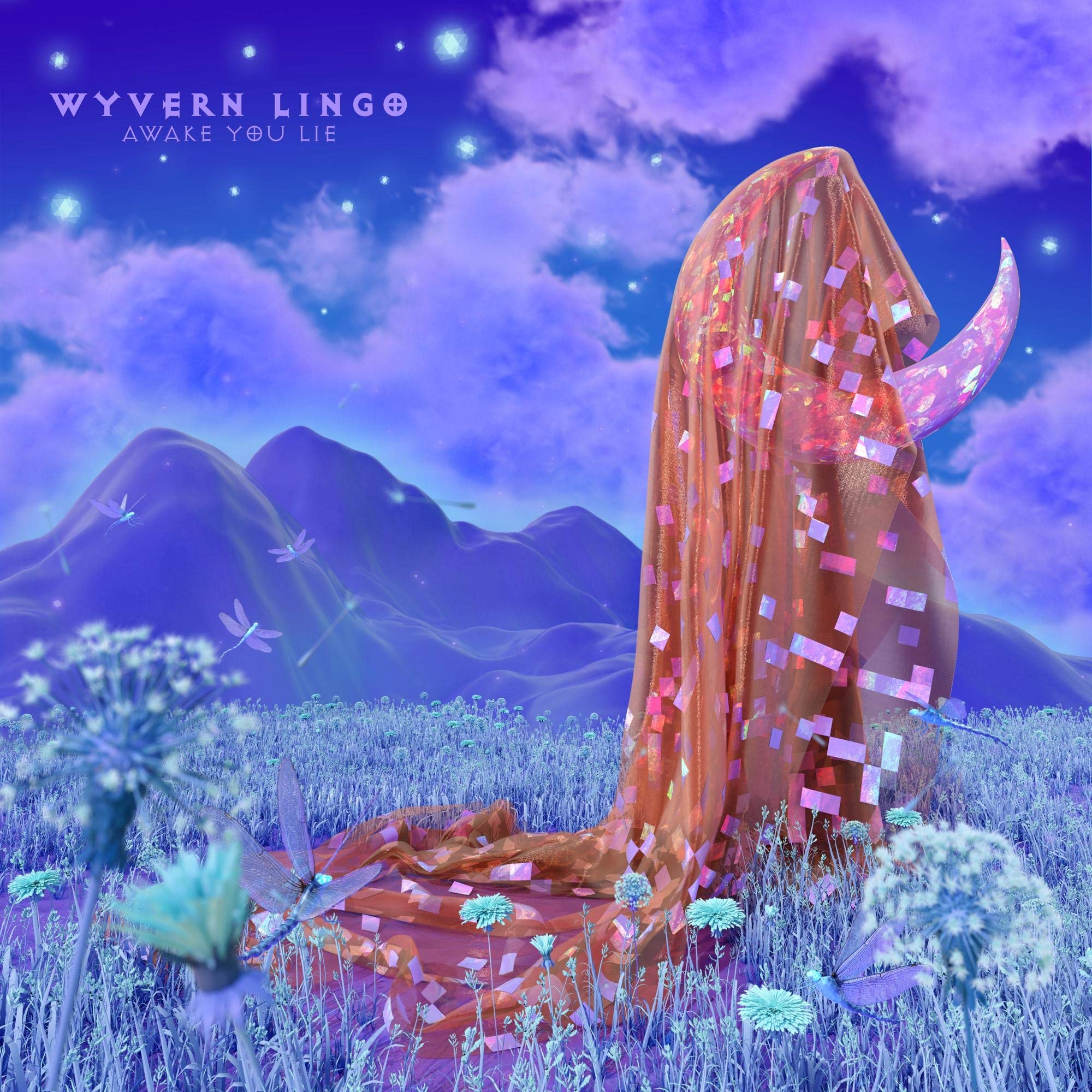 Awake You Lie (LP) [VINYL]