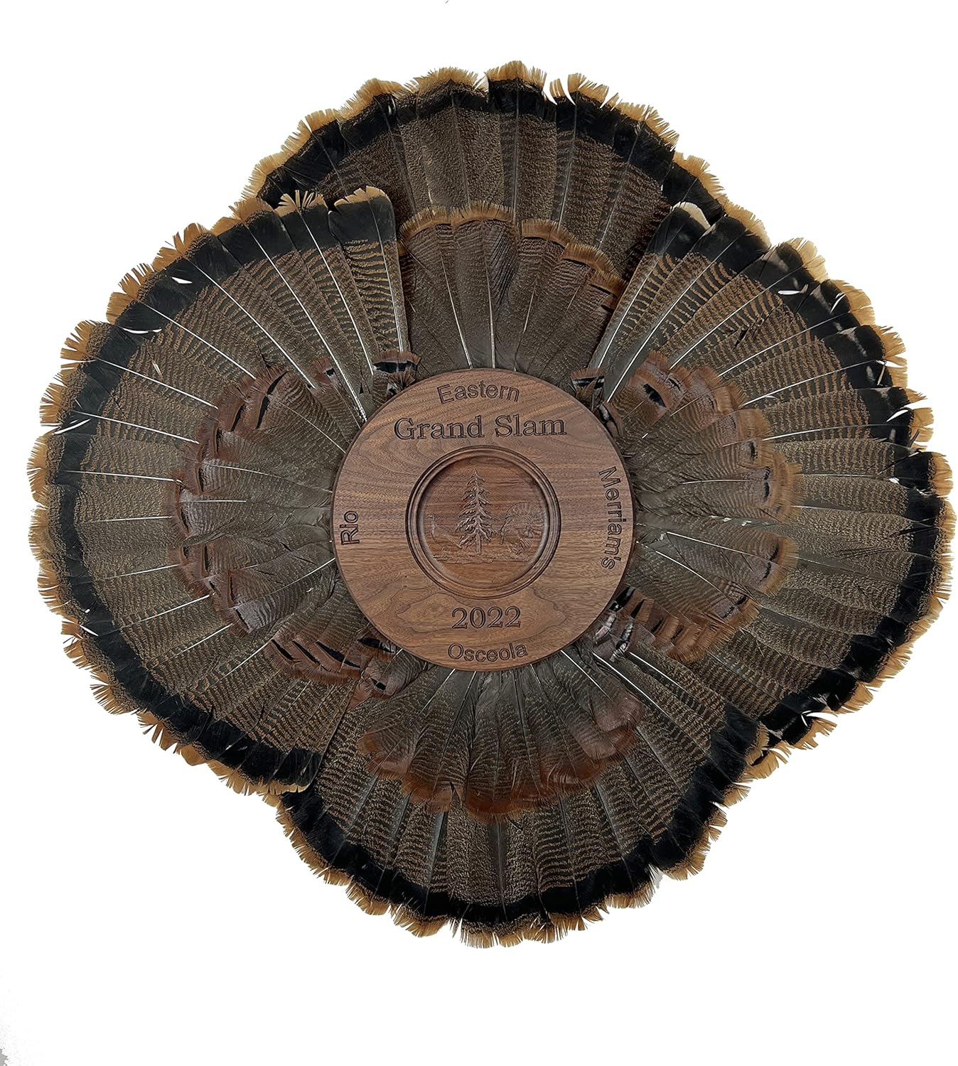 Personalized Grand Slam Turkey Tail Display for all 4 Fans