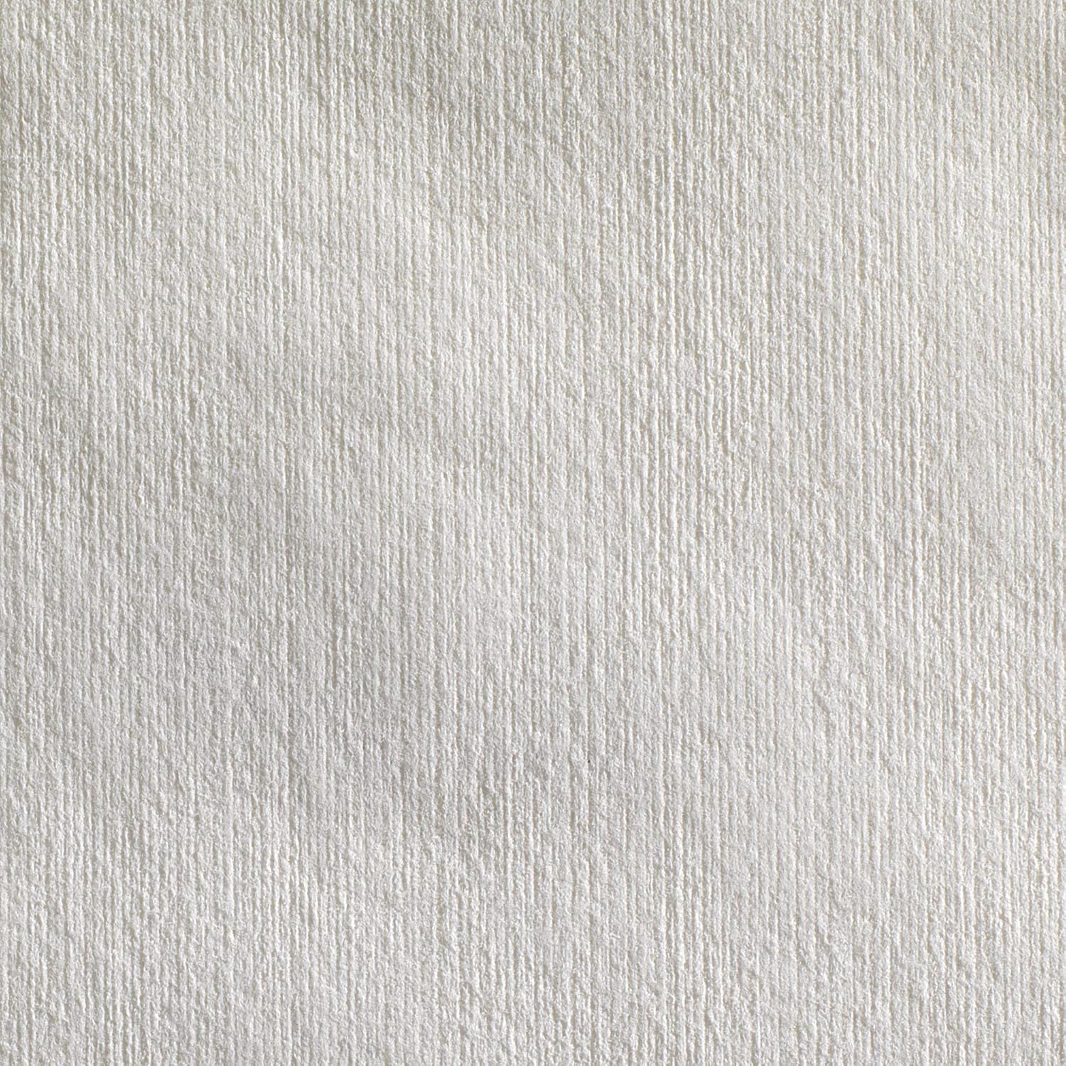 Georgia-Pacific Brawny Professional Heavyweight Disposable Shop Towels by GP PRO, White, 29322, 176 Towels Per Box, 10 Boxes Per Case (1760 Total)
