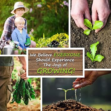 Korean Perilla Seeds Heirloom, Non-GMO Easy-to-Grow Culinary Herb for Asian Dishes, Wraps & Garnishes Ideal for Home Gardens & Containers Annual Herb with Fragrant Leaves