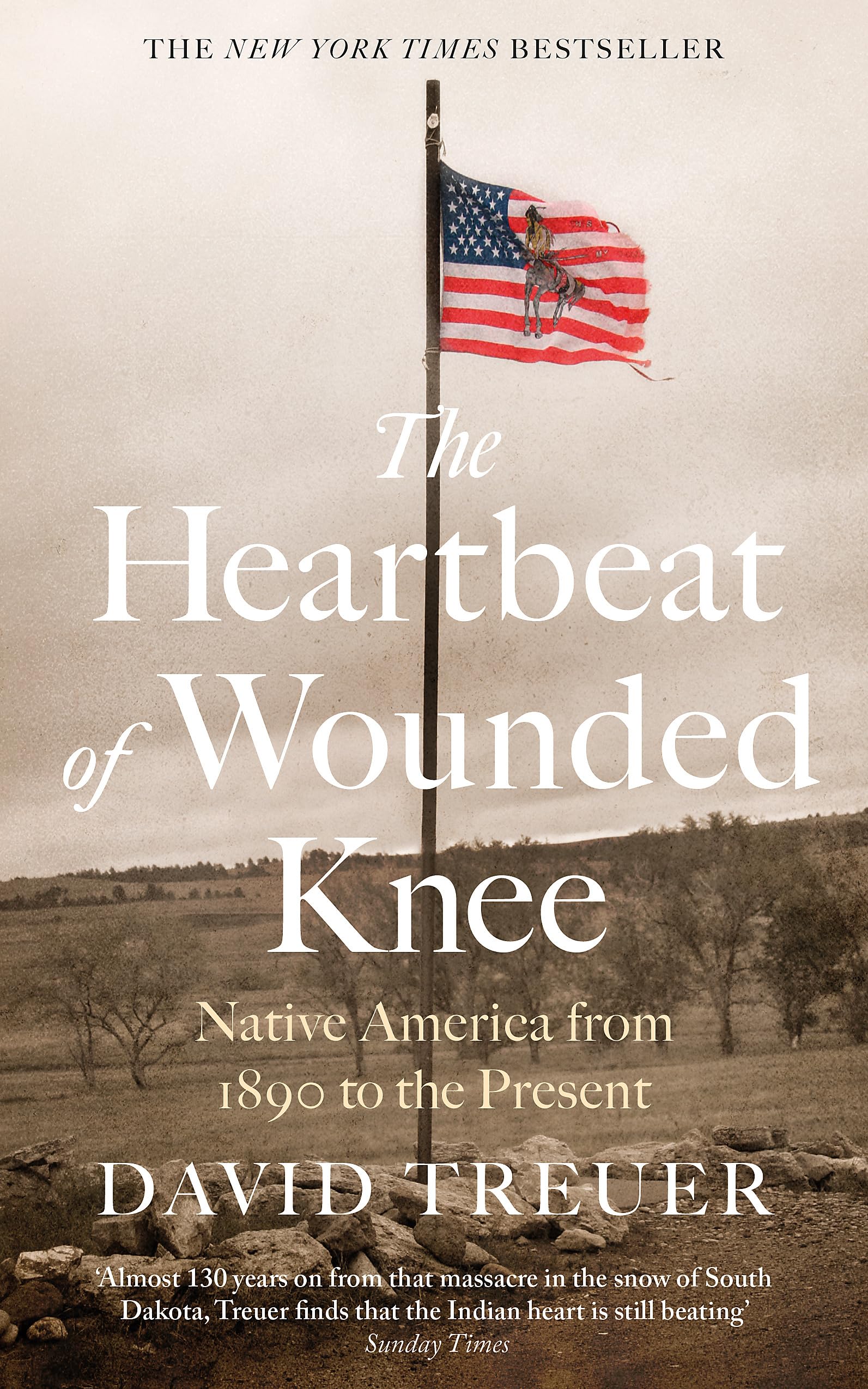 The Heartbeat of Wounded Knee by David Treuer PAPERBACK 9781472154941
