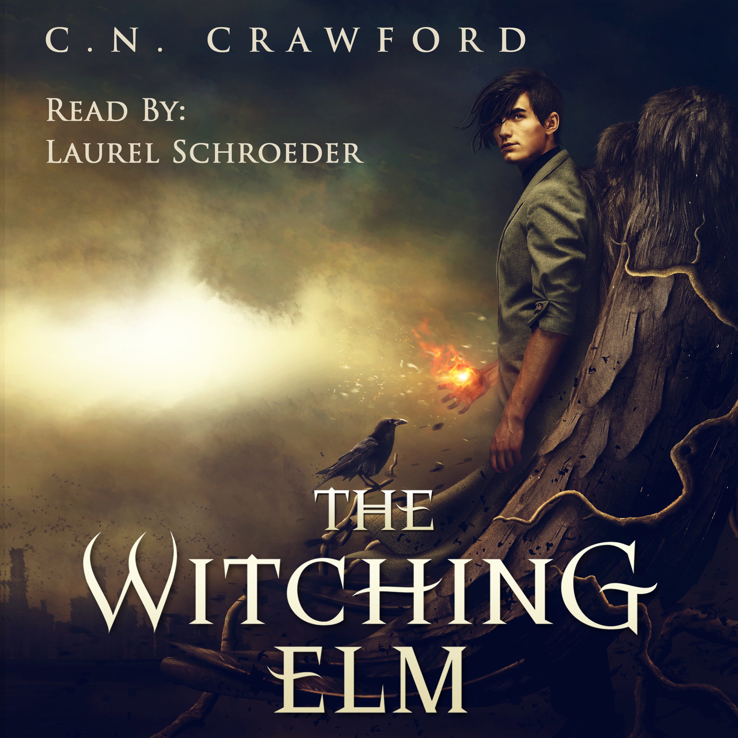 Cover art for The Witching Elm