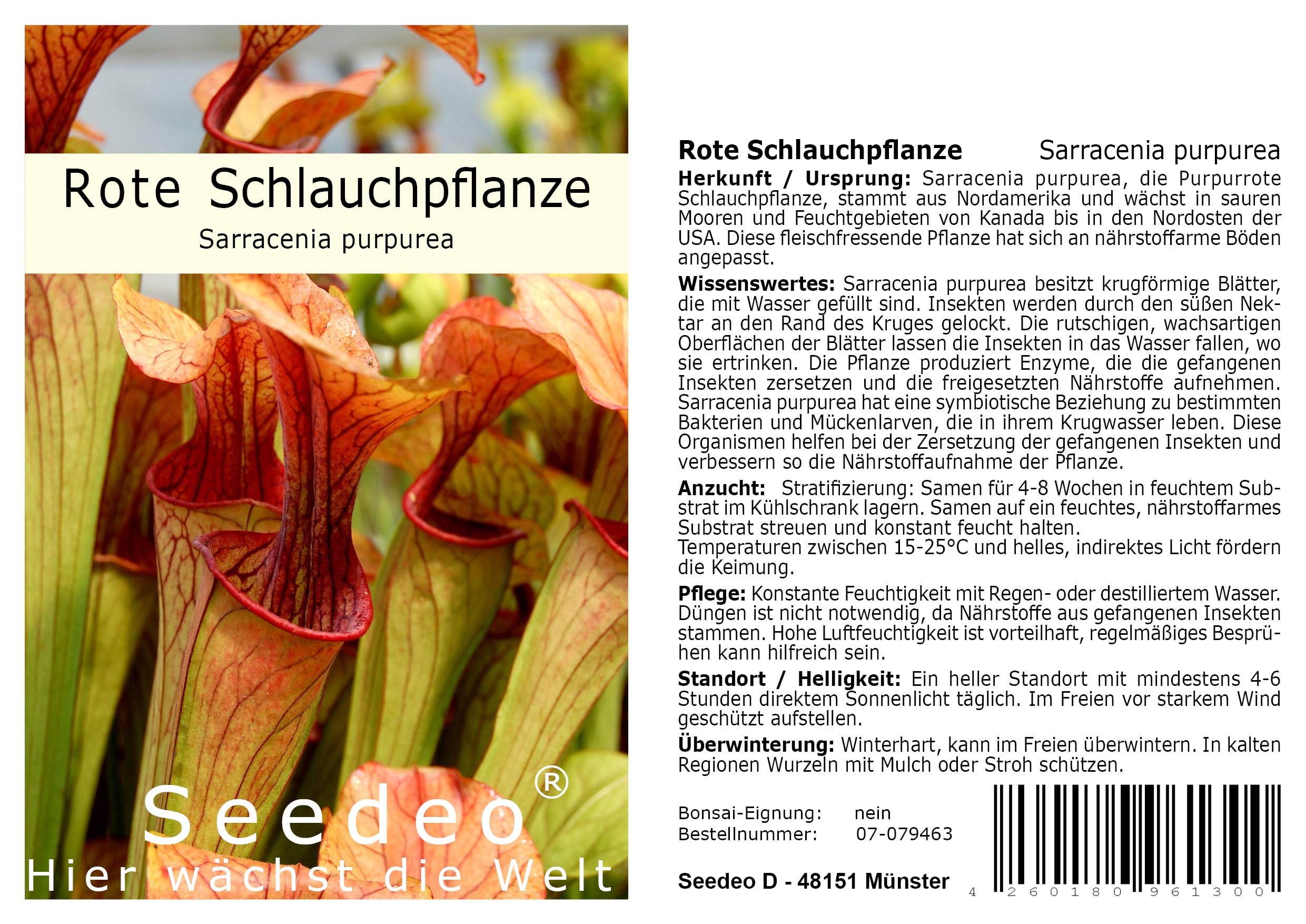 Botanische Juwelen Fleischfressende Pflanzen
