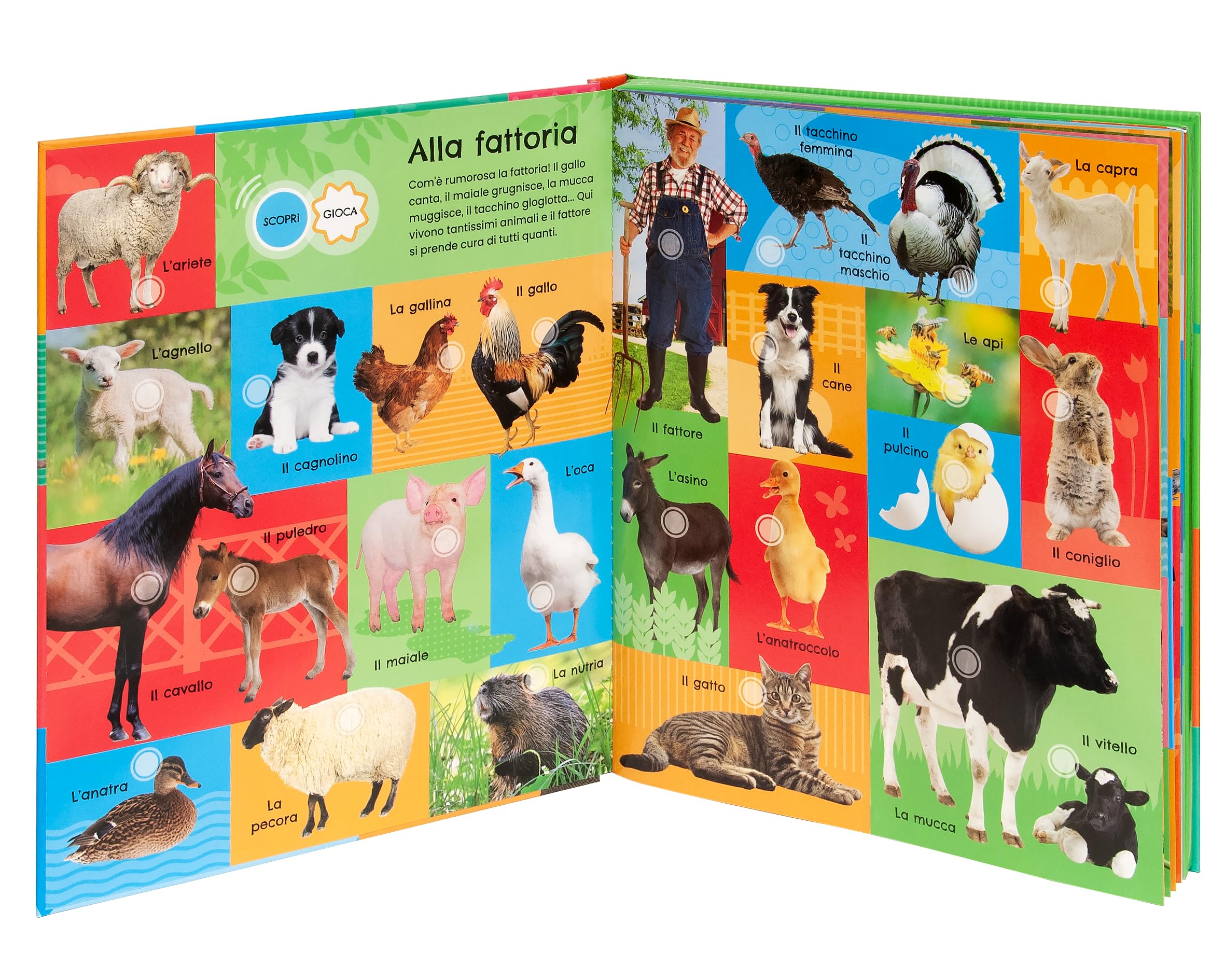 175 animali. Suoni e quiz! Ediz. a colori