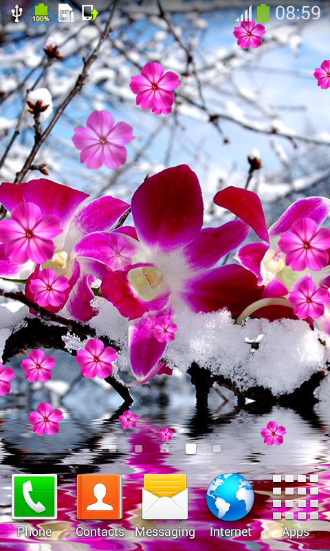 Orchid Live Wallpapers - App on Amazon Appstore