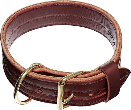 leather agitation collar